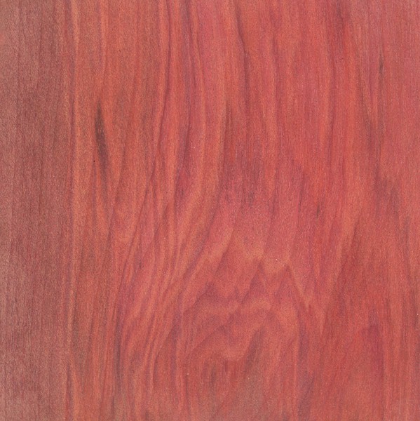 Redheart 23x23x150 mm vhodné pro Conservativ