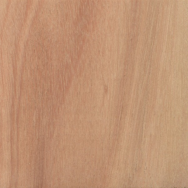 Eukalyptus 23x23x130 mm